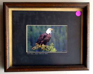 lot 74 image: BALD EAGLE, JASPER NATIONAL PARK signed printphoto of American Bald Eagle