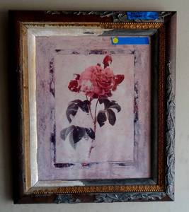 lot 76 image: Shabby Chic ROSA GALLICA AURELIANENSIS FRAMED ART PRINT