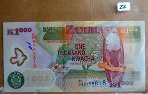 lot 22 image: Zambia 1000 Kwacha (2009) - PolymerEagleAardvarkp44g UNC