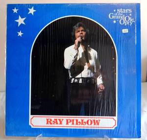 lot 123 image: Ray Pillow . Stars of the Grand Ole Opry . Wasted Again . First Generation LP