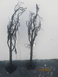 lot 797 image: TOTAL OF 2 CURLY BLACK TREE WITH ADAPTERS 56 H