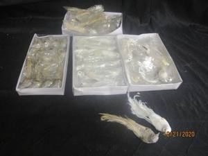 lot 876 image: TOTAL OF 40 CATHERINE LILLYWHITES BIRDS&nbsp&nbspDL9182CH &nbsp DL9182WH