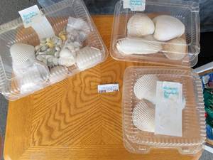 lot 768 image: 3 BOXES OF VARIOUS SEASHELLS AS SHOWN.