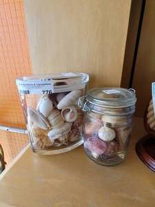 lot 776 image: GLASS CONTAINERS WITH ASSORTED SEASHELLS AS SHOWN.