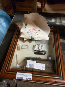 lot 1200 image: SHADOW BOX AND CONCH SHELL AS SHOWN.