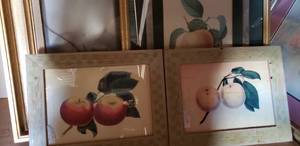 lot 45 image: Fruit Framed Wall Art, See Pictures (18x22 and 11x14 Approx.)