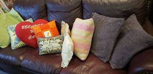 lot 22 image: Misc. Pillows