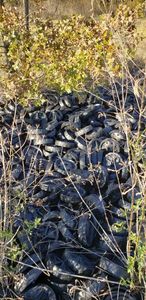 lot 160 image: Plastic Wheels 8 approx 100 plus, larger pile look unused