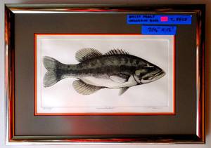 lot 10 image: INCREDIBLE ARTIST PROOF TITLED LARGEMOUTH BASS BY RENOWNED ARTIST T RECE - HAND SIGNED - FRAMED AND MATTED UNDER GLASS - MEASURES 21 12 X 15