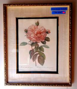lot 11 image: Pierre Joseph Redoute Botanical Rose Framed Print Wall Art. Botanical Print In Gold Frame double matted under glass - ebay comps $175-$250