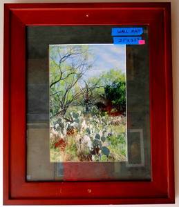 lot 28 image: ORIGINAL CACTI PHOTO MATTED AND FRAMED - MEASURES 21 X 25