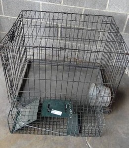 lot 136 image: Metal animal cage and small game trap