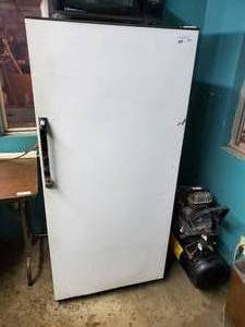 lot 216 image: GE refrigerator w top freezer