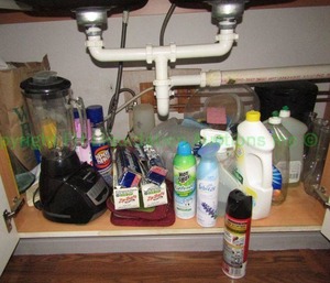 lot 650 image: Assorted cleaning supplies as shown