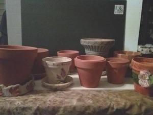 lot 44 image: Generous Quantity of Planters