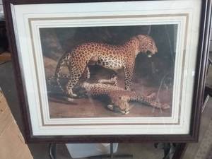 lot 288 image: 2 Framed Prints of Big Cats