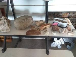 lot 290 image: Wood Bx of Various Rocks and Fossils(including large Ammonite)
