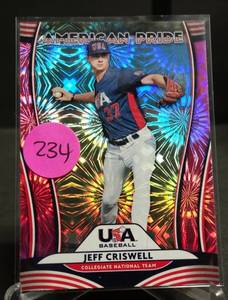 lot 234 image: JEFF CRISWELL--JACK FLAHERTY 2020 USA AMERICAN PRIDE #AP21 PINK FIREWORKS