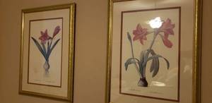 lot 114 image: Pair of Amaryllis Prints