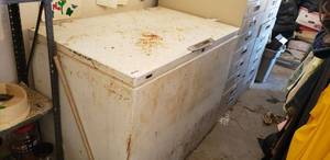 lot 310 image: Frigidaire Food Freezer