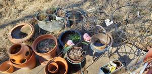 lot 343 image: Planters, Pots and Wire Plant Stand