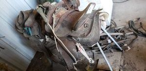 lot 436 image: 2 Saddles and Saddle Blankets and Stand as shown