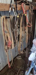 lot 440 image: Bridles, Ropes, Misc. Tack