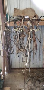 lot 441 image: Bridles, Ropes, Misc. Tack