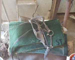 lot 443 image: Newer Saddle Blankets, Full Horse Blanket, Bridle and Step Stool