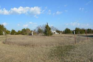lot 553 image: Training ring or pen. 10 sections of 10x5 fencing and 11 fence posts.