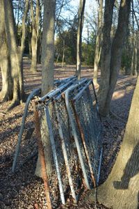 lot 561 image: Kennel Gates 7