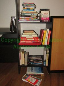 lot 30 image: Assorted books including speaking French instructional books as shown