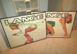 lot 101 image: Lange ski supplies promotional prints framed