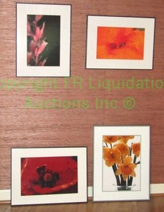 lot 13 image: Framed floral photographs