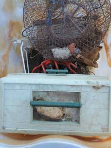 lot 177 image: Fishing lot- nets, rope, small chain, tackle  and box with assorted tackle inside