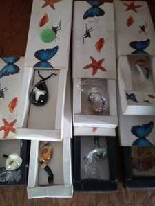 lot 63 image: 7 Pc of Insect Taxidermy and more Resin Jewelry