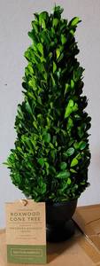 lot 69 image: LOT OF 4 NEW WITH TAGS DECORATIVE HANDCRAFTED BOXWOOD CONE TREES IN BOXES AS SHOWN. EACH APPROX. 16.5 H. (YOUR BID X 4)