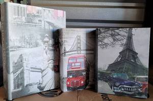 lot 145 image: LOT OF 3 HIDE-AWAY DECORATIVE BOOKS IN STYLESCOLORSCONDITION SHOWN. (YOUR BID X 3)