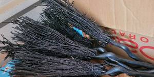 lot 204 image: LOT OF 7 NEW WITH TAGS BROOM STYLE DECOR PIECES IN STYLECOLORCONDITION SHOWN. (YOUR BID X 7)