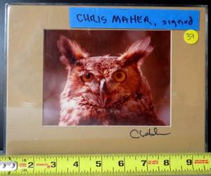 lot 37 image: ANOTHER CHRIS MAHER STUDIOS - HAND SIGNED ORIGINAL OWL PHOTO - MATTED AND READY TO DISPLAY