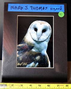 lot 41 image: MARK J THOMAS HAND SIGNED ORIGINAL OWL PHOTO - BEAUTIFULLY GLOSSY PRINT