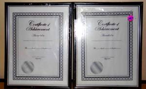 lot 147 image: LOT OF 2 - 8 12 X 11 FRAMES WITH GLASS