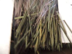 lot 70 image: Box full of floral sticks  2 12 L