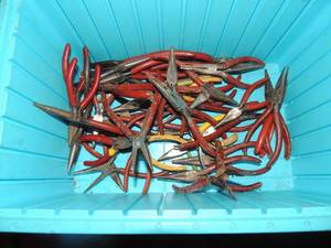 lot 157 image: Needle nose pliers  MULTIPLE SIZES  - SEVERAL