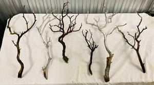 lot 111 image: Decorative Painted Manzanita Branches