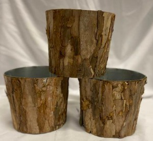 lot 270 image: Birch Bark Planters  6 x 7 (3)