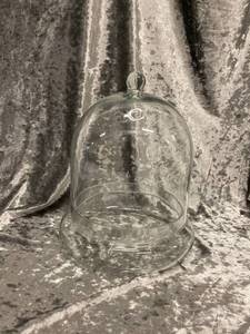 lot 518 image: Glass Terrarium