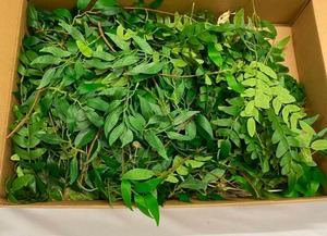 lot 678 image: Artificial Greenery