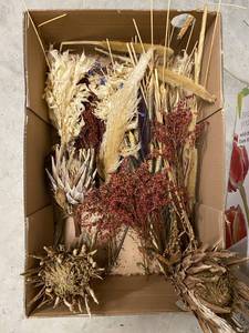 lot 681 image: Box of Various Dried Flowers