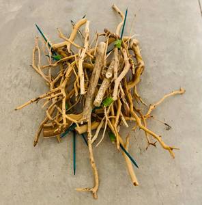 lot 319 image: Manzanita Branches